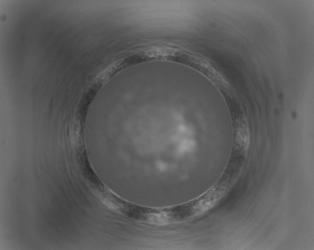 X0000051240411200506241526