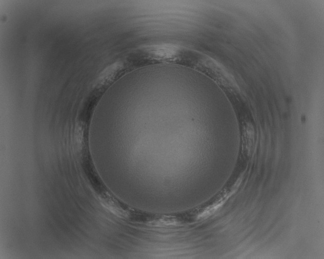 X0000051240412200506241526