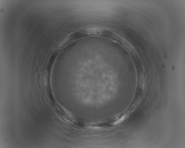 X0000051240413200506241526