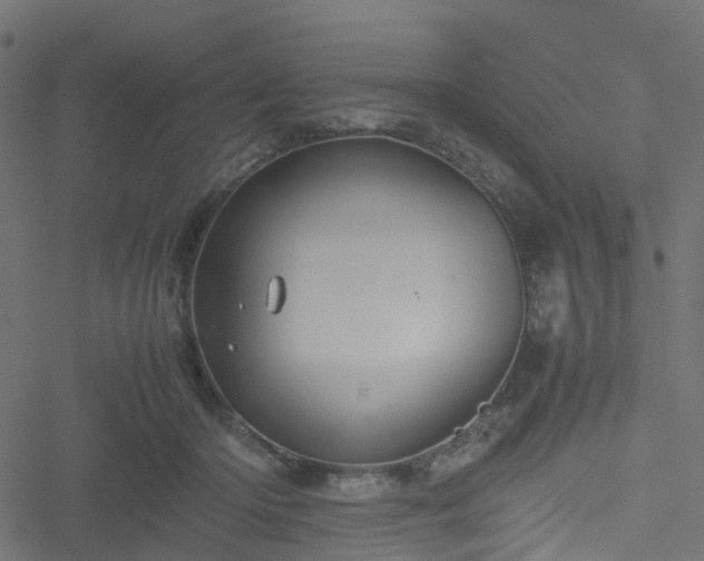 X0000051240414200506241526