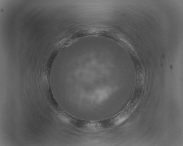 X0000051240415200506241526