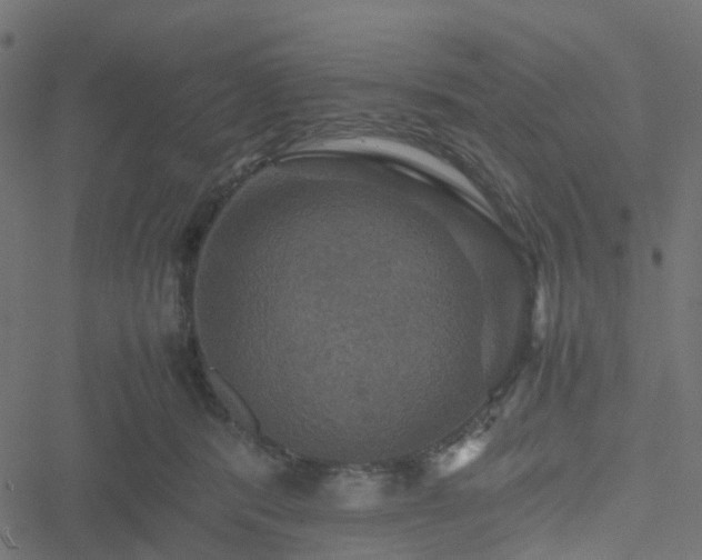 X0000051240416200506241526