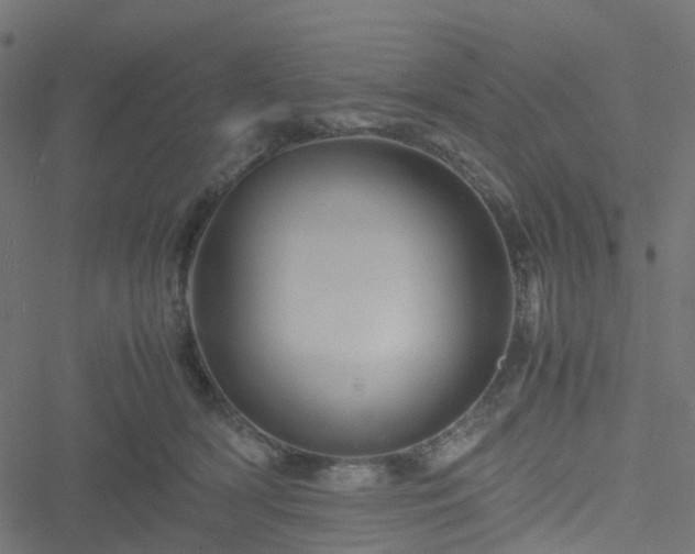 X0000051240418200506241526