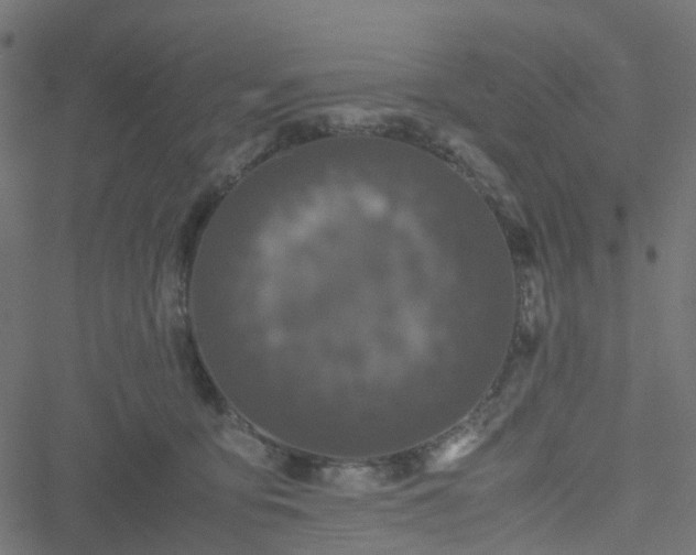 X0000051240419200506241526