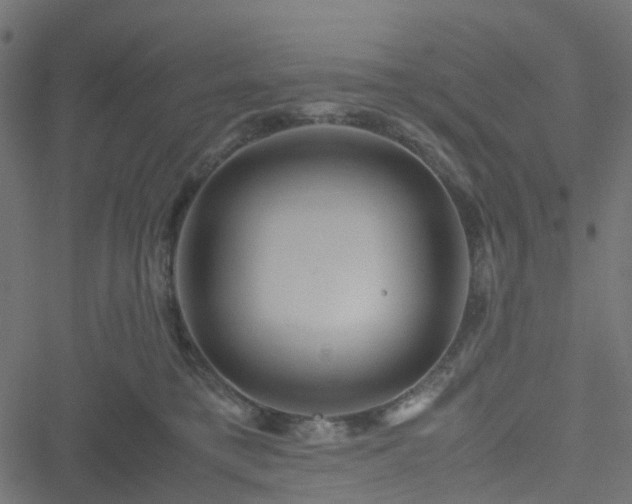 X0000051240421200506241526