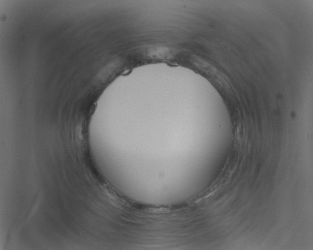 X0000051240424200506241526