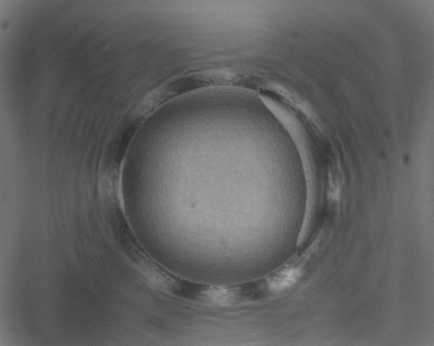 X0000051240425200506241526