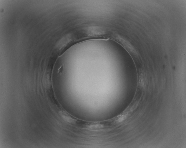 X0000051240426200506241526