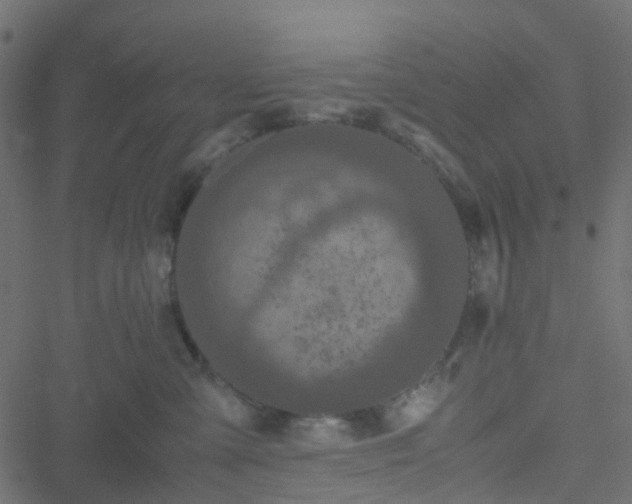 X0000051240427200506241526