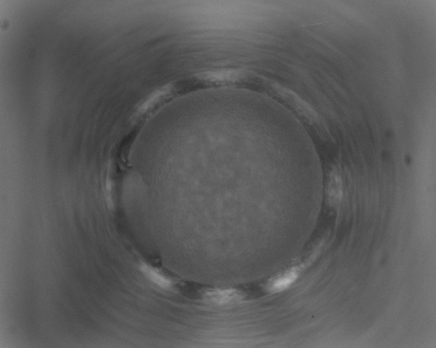 X0000051240428200506241526