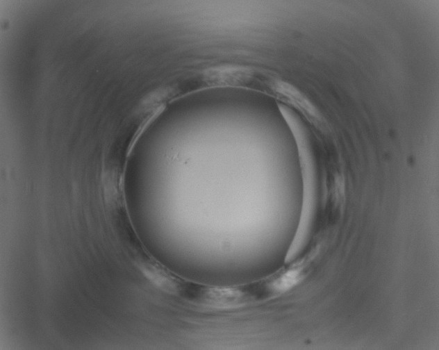 X0000051240429200506241526