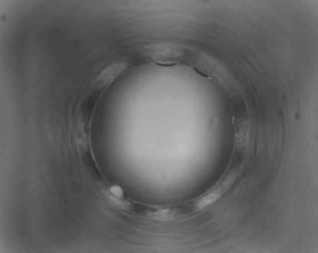 X0000051240430200506241526