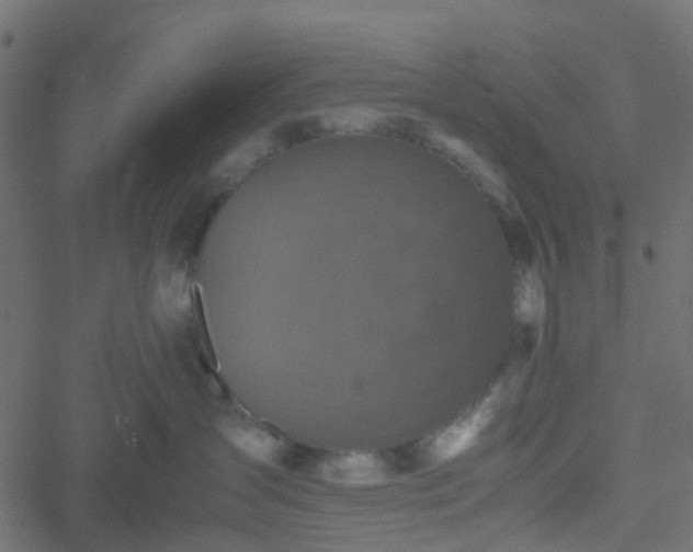 X0000051240431200506241526