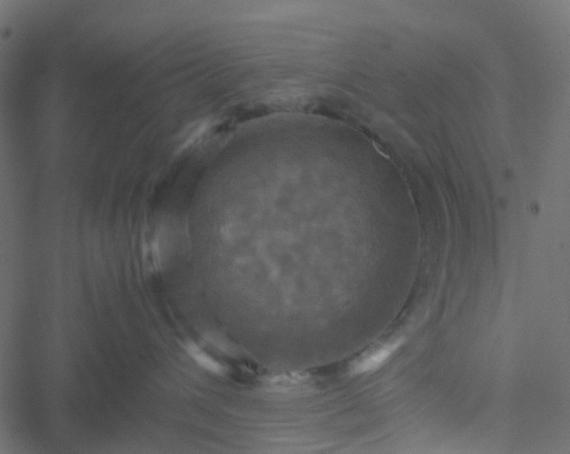 X0000051240432200506241526