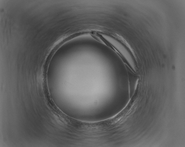 X0000051240435200506241525