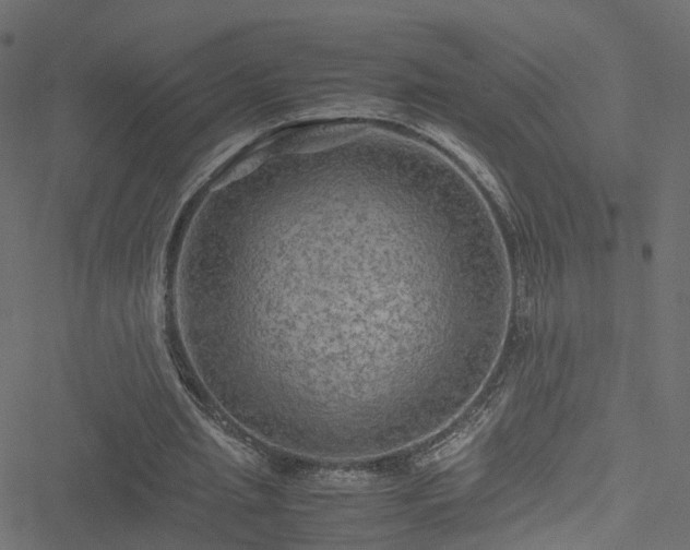 X0000051240437200506241525