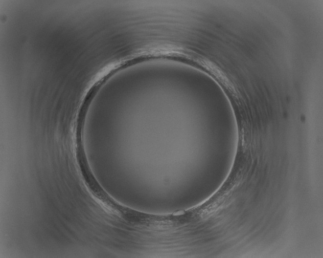 X0000051240438200506241525