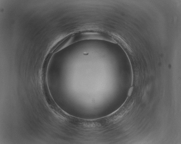 X0000051240439200506241525