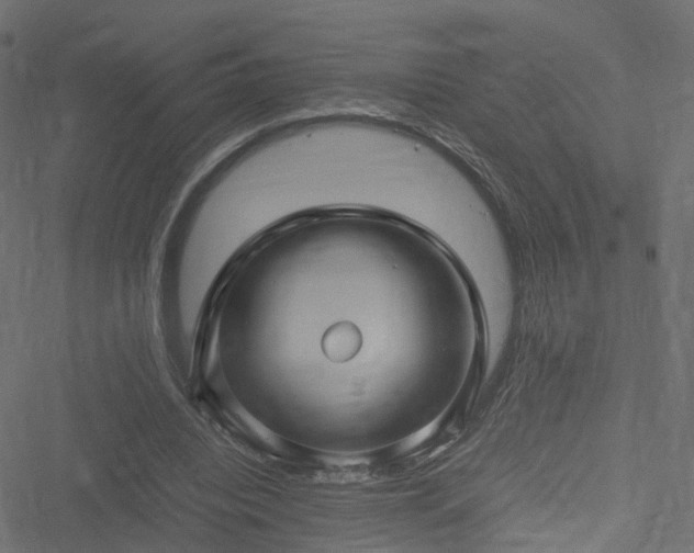 X0000051240440200506241525