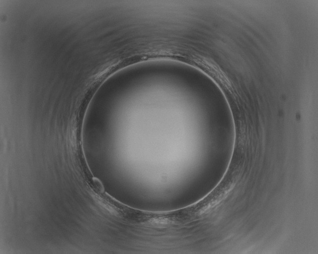 X0000051240441200506241525