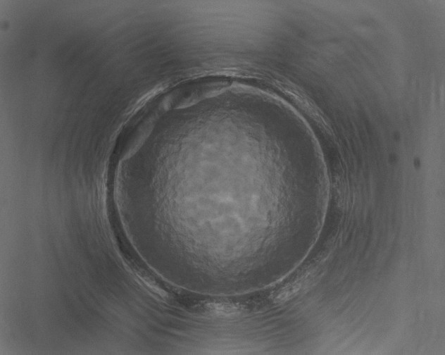 X0000051240442200506241525