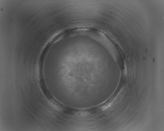 X0000051240444200506241525