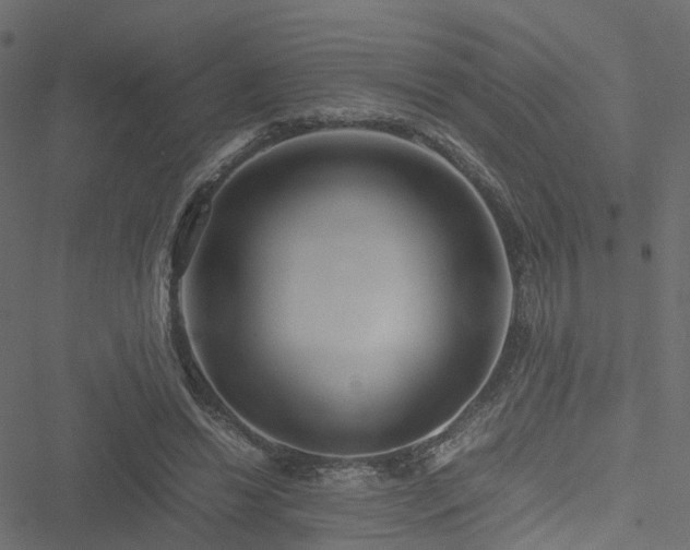 X0000051240446200506241525