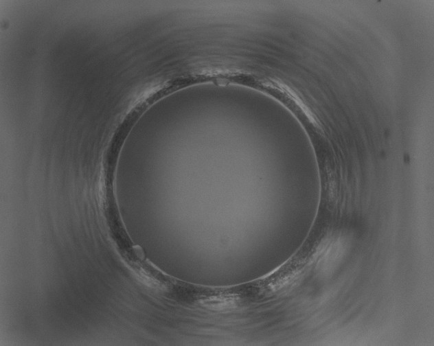 X0000051240447200506241525