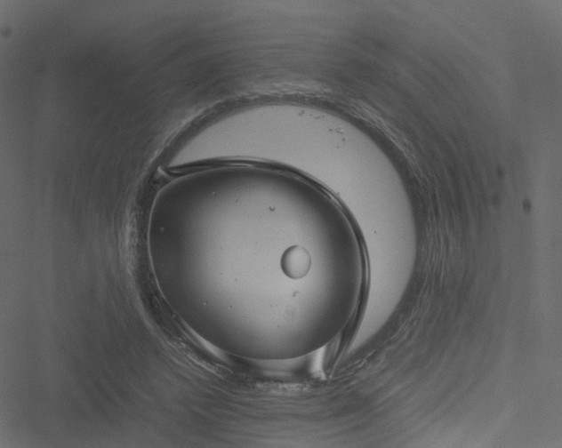 X0000051240448200506241525