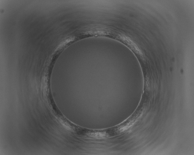 X0000051240449200506241525