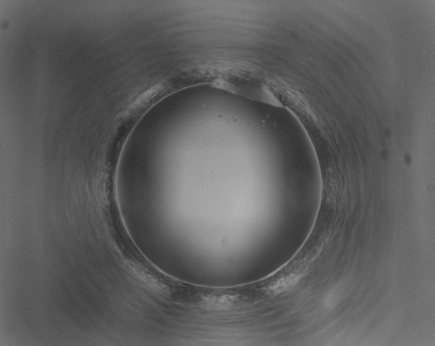 X0000051240450200506241525