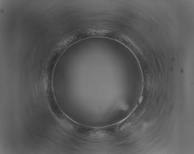 X0000051240451200506241525