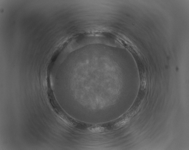 X0000051240452200506241525