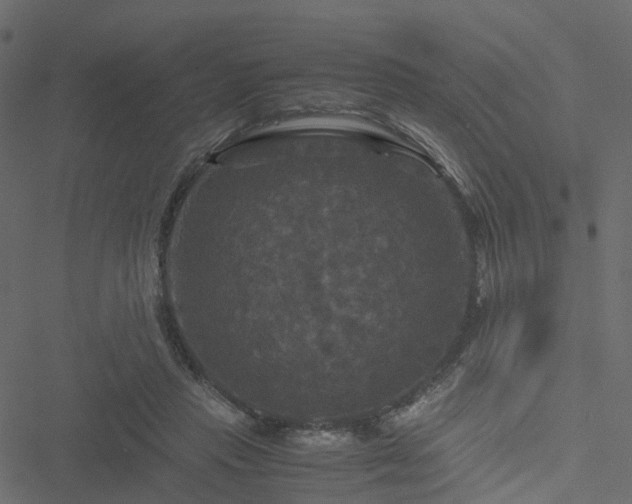 X0000051240453200506241525