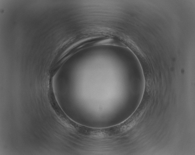 X0000051240454200506241525