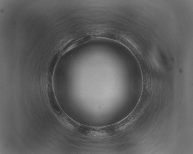 X0000051240455200506241525