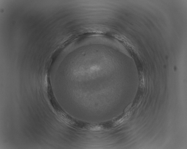 X0000051240456200506241525