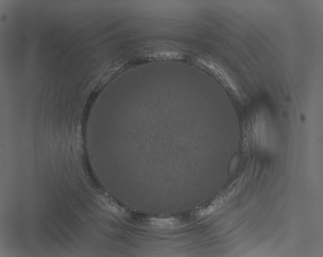 X0000051240457200506241525