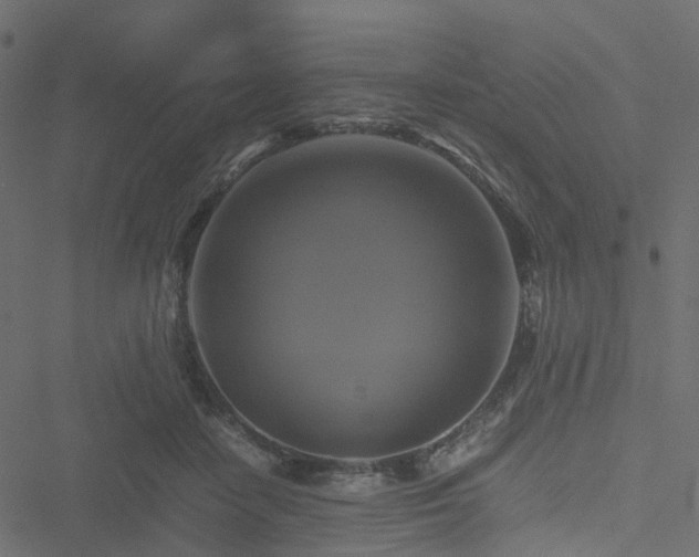 X0000051240458200506241525