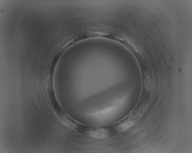 X0000051240459200506241526