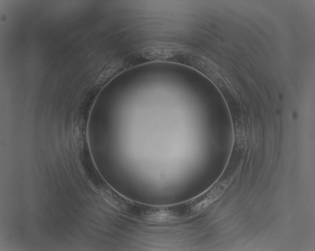 X0000051240460200506241526