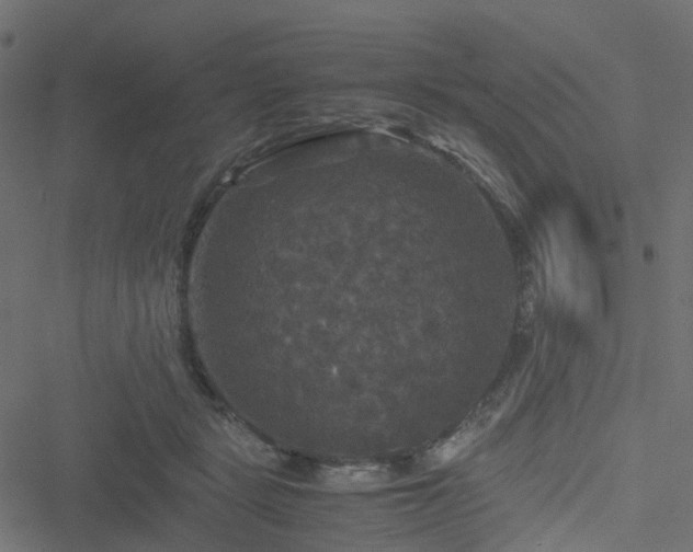 X0000051240461200506241526