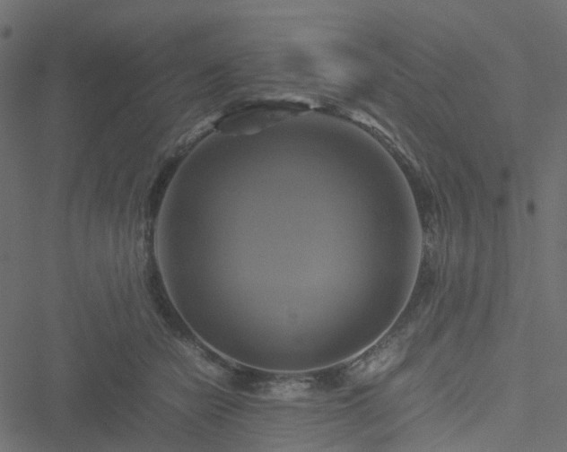 X0000051240462200506241526