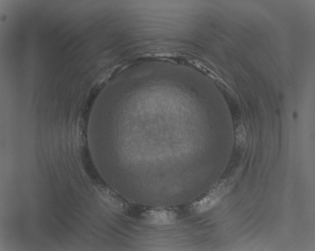 X0000051240464200506241526