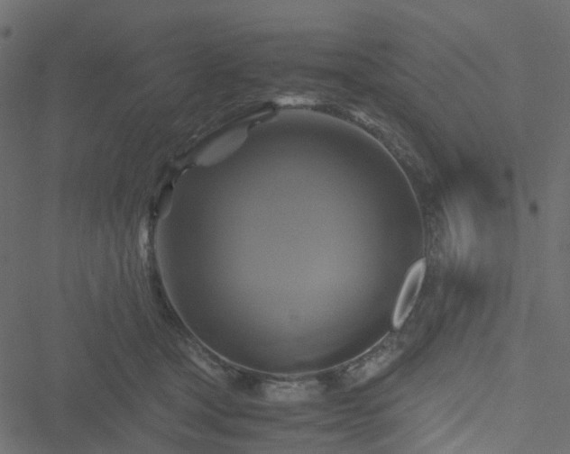 X0000051240465200506241526