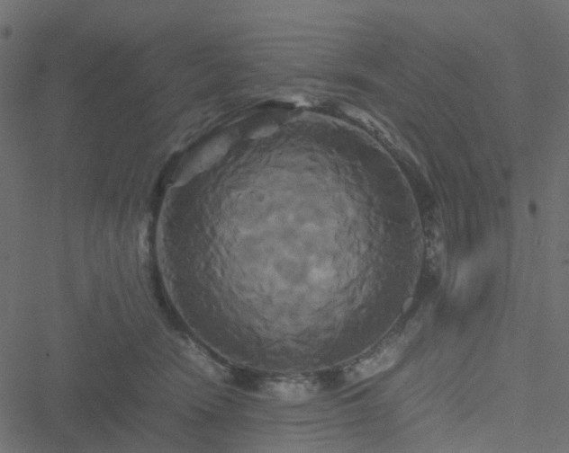 X0000051240466200506241526