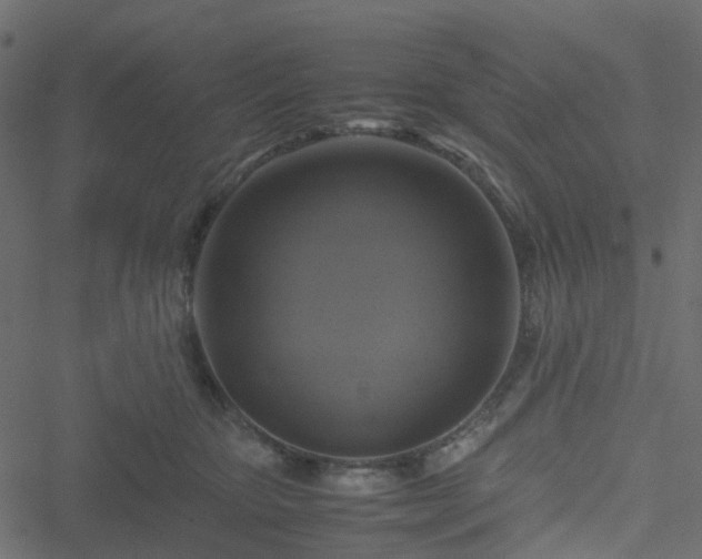 X0000051240467200506241526