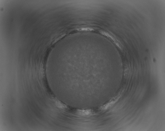 X0000051240469200506241526