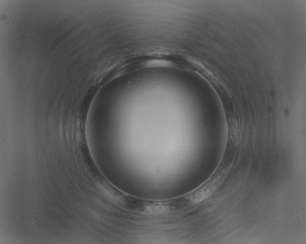 X0000051240470200506241526