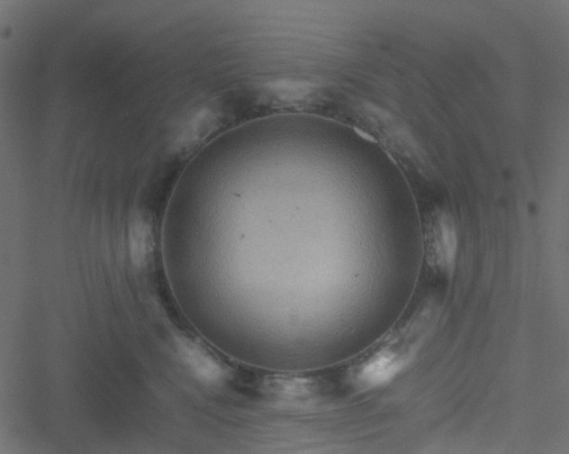 X0000051240472200506241526